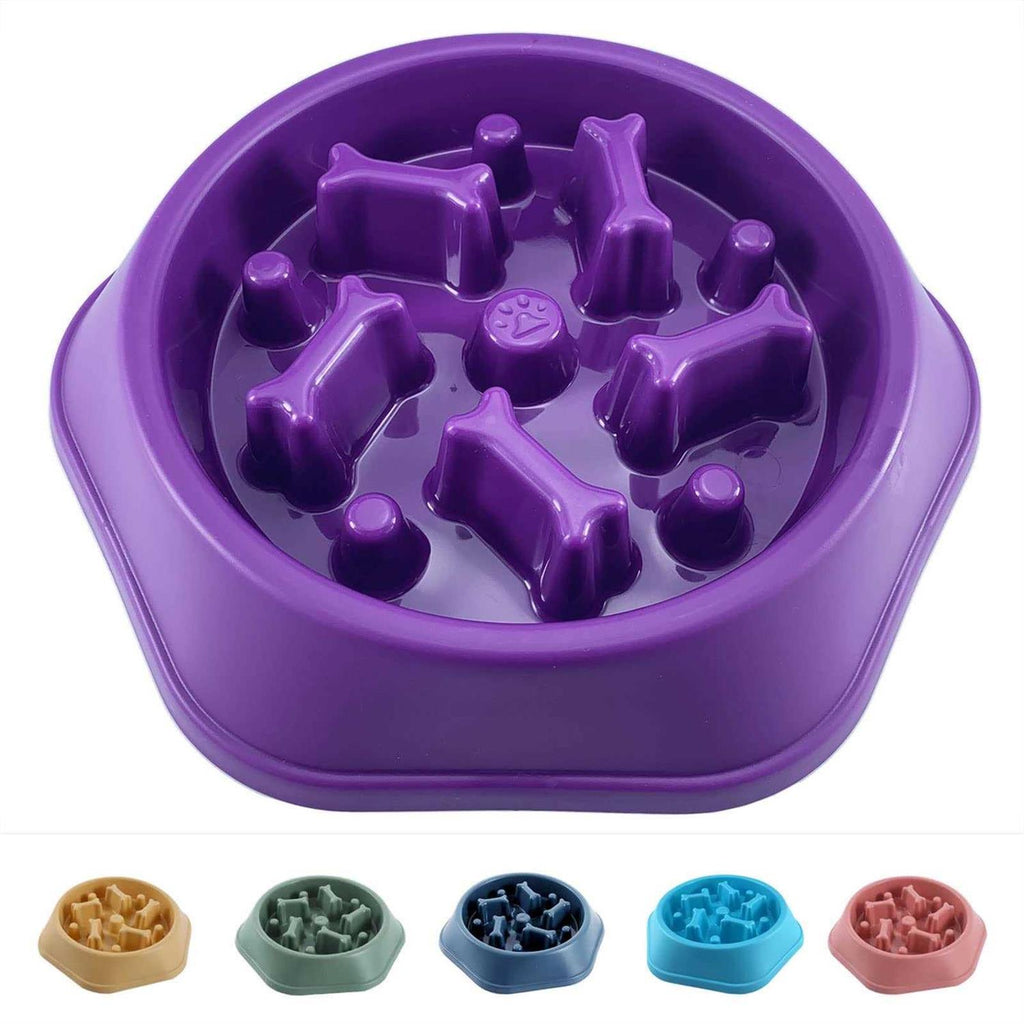 Slow Feeder Dog Bowl Non Slip C256578