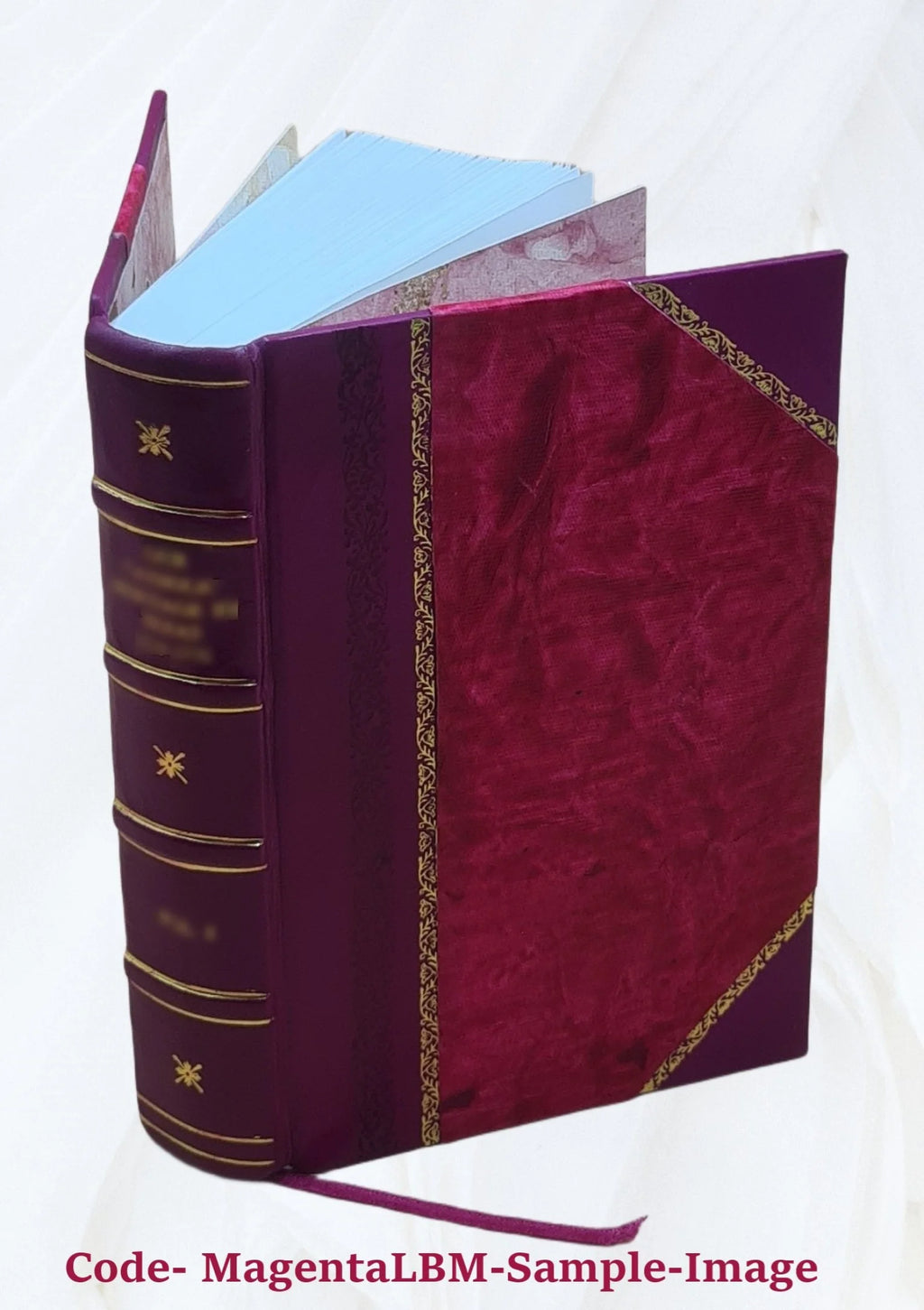 Leather Bound Book W697