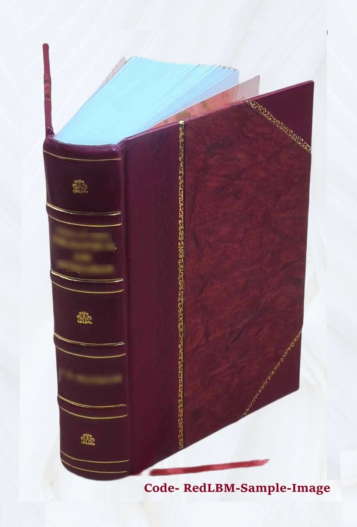 Leather Bound Book W697