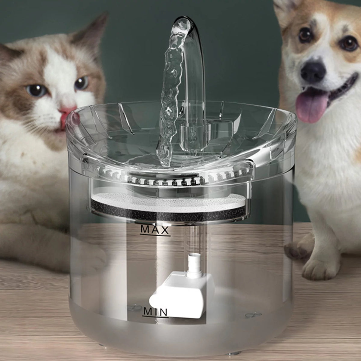 2L Automatic Pet Water Fountain H161