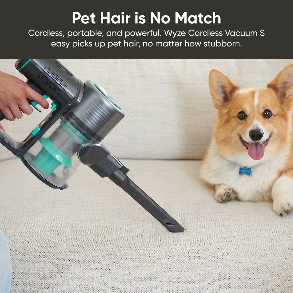 Cordless Stick Vacuum R6699