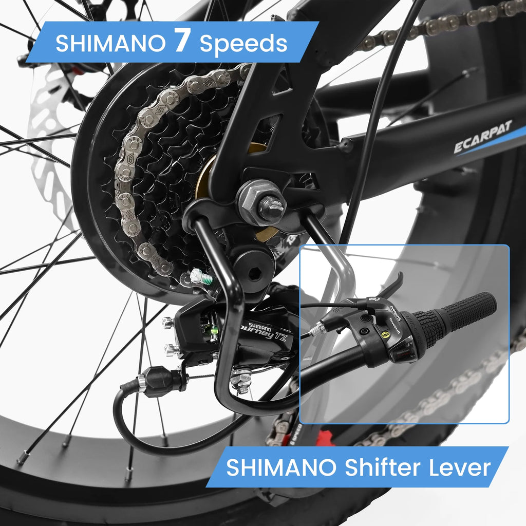 20 inch Black Fat Tire Bike with Disc Brakes 7 Speed L96229