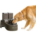 Outdoor Plastic Dog & Cat Fountain N27557