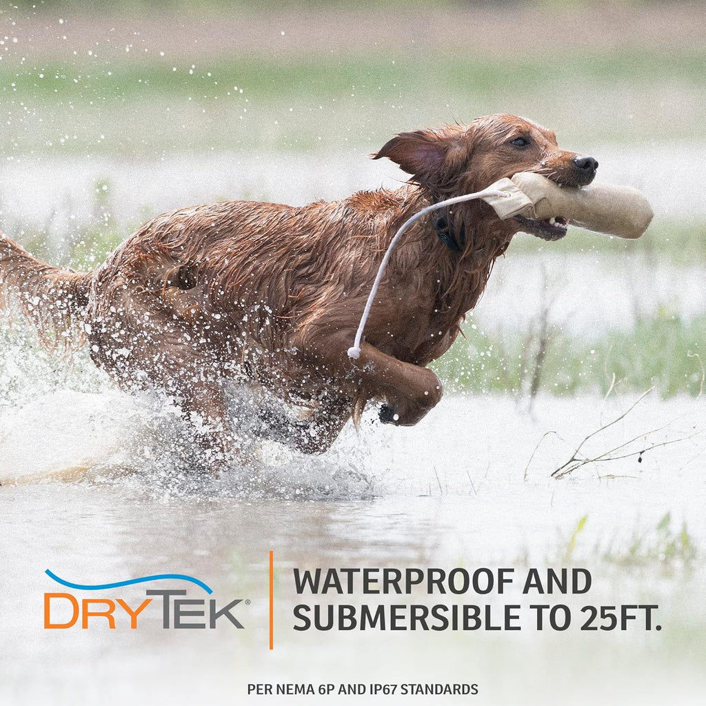 Rechargeable Waterproof Bark Collar for Dogs 8 lbs & up Z199526