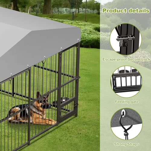 10x10x6 FT Heavy-Duty Outdoor Dog Kennel with Roof Cover and Lock S91931