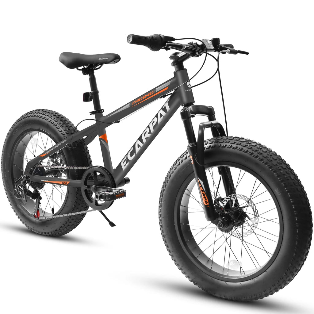 20 inch Black Fat Tire Bike with Disc Brakes 7 Speed L96229