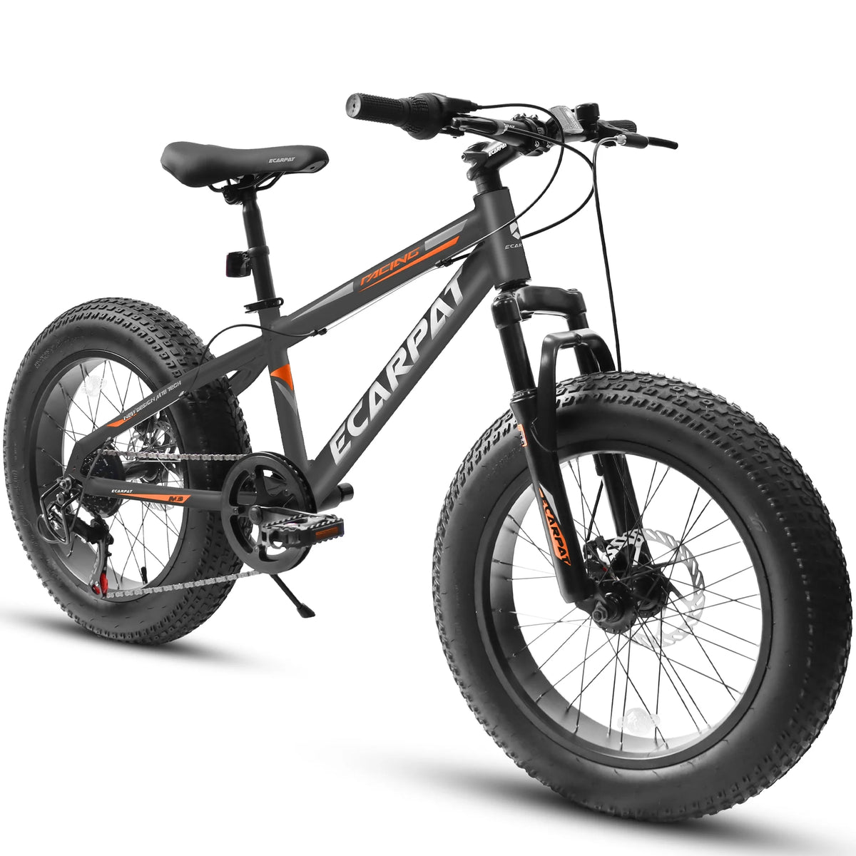 20 inch Black Fat Tire Bike with Disc Brakes 7 Speed L96229