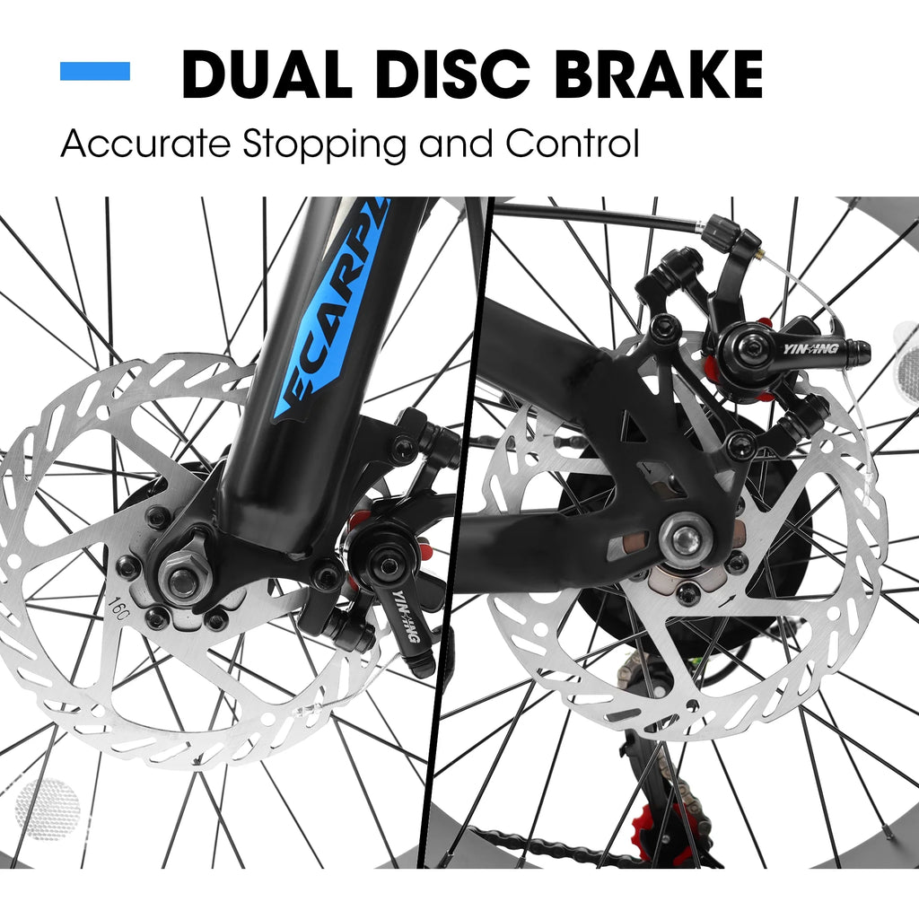 20 inch Black Fat Tire Bike with Disc Brakes 7 Speed L96229