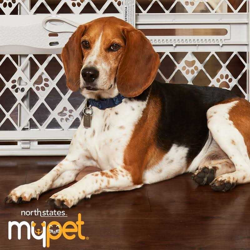 Brown Two-Panel Pet Gate Extension L305698