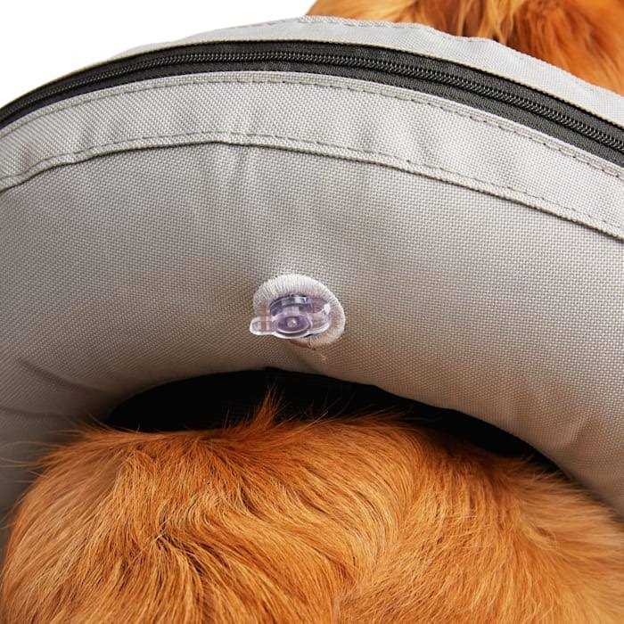 Inflatable Dog Collar V557