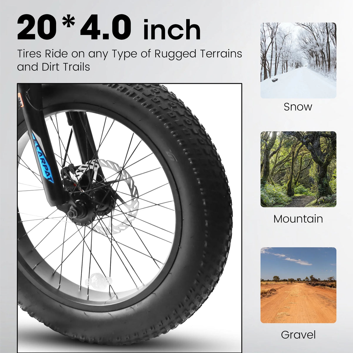 20 inch Black Fat Tire Bike with Disc Brakes 7 Speed L96229
