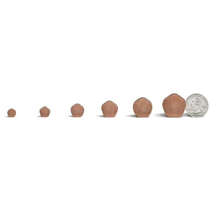 Dogs Pet Supplies D457501