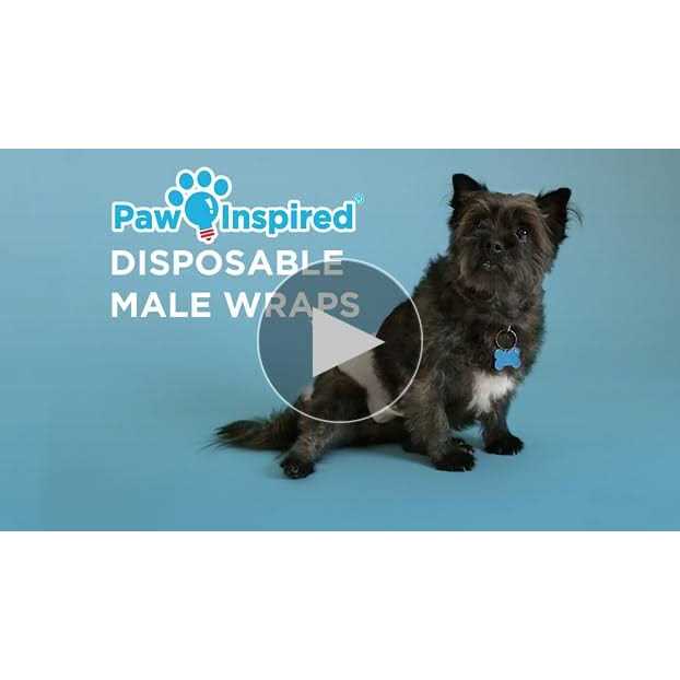 Disposable Belly Band Male Dog Wraps I65263