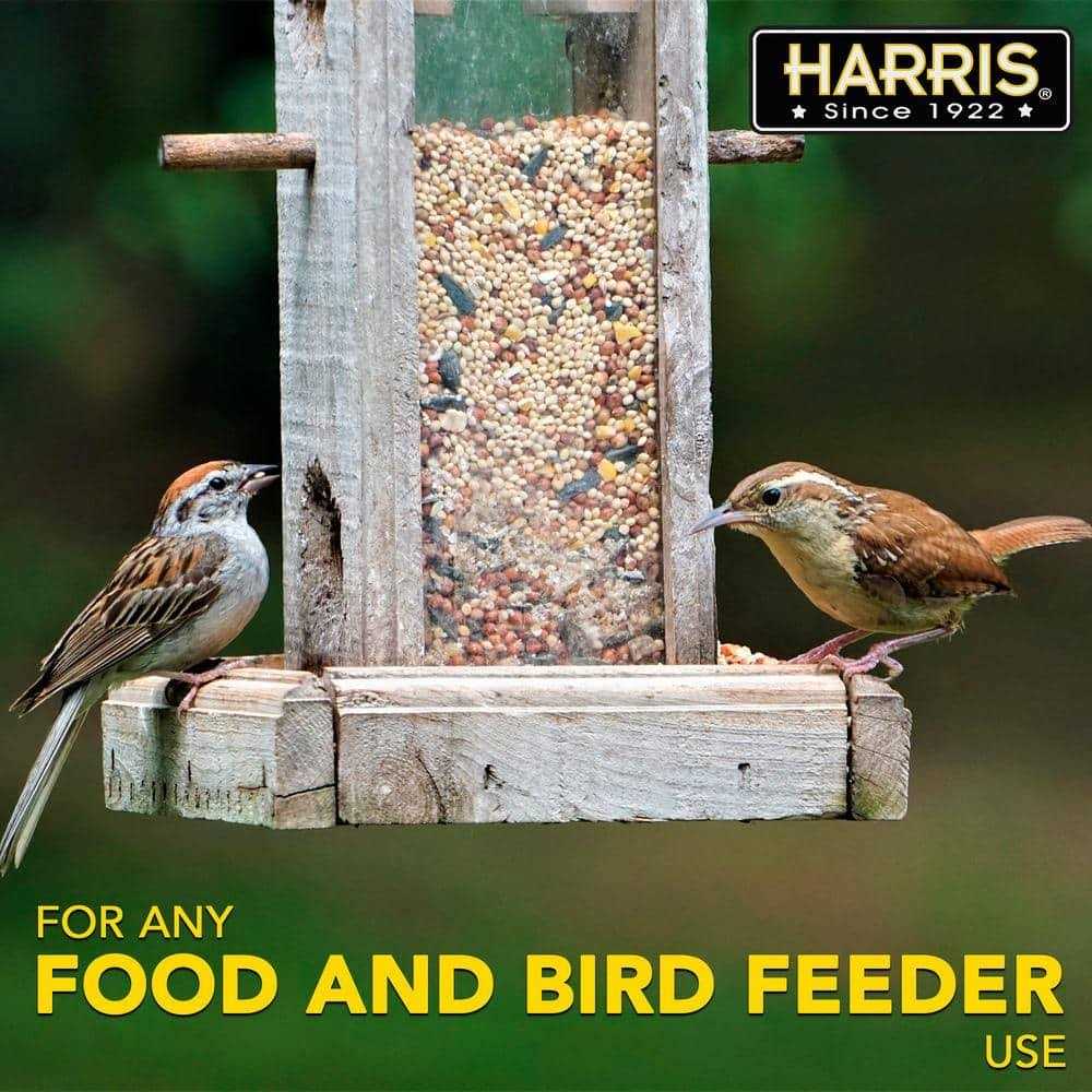 Bird Seed 8 oz T67003