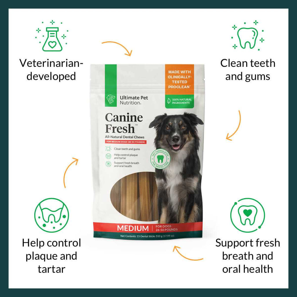 All Natural Canine Dental Chews Sticks P962014