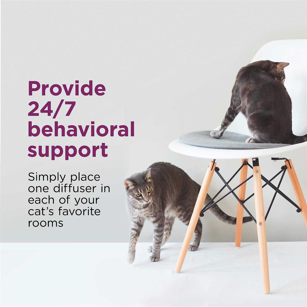 Multi Cat Diffuser Refills O214