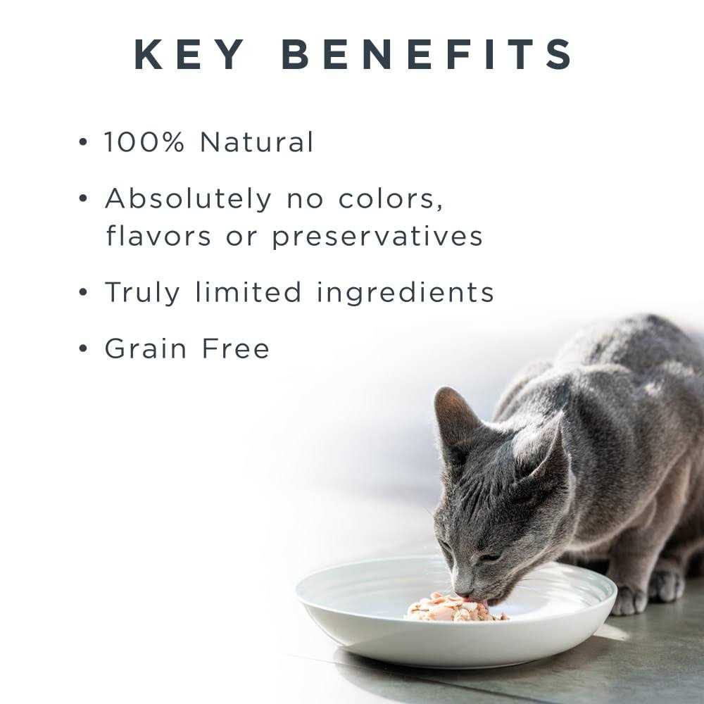 Grain Free Tuna Fillet Broth Wet Cat Food Y882146