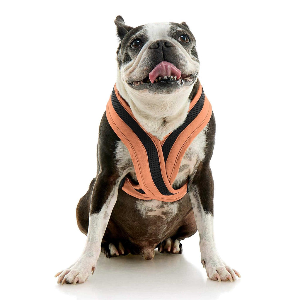 Dog Harness C328
