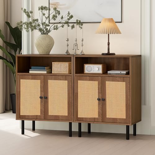 Rattan Storage Cabinet with Double Doors Z5203