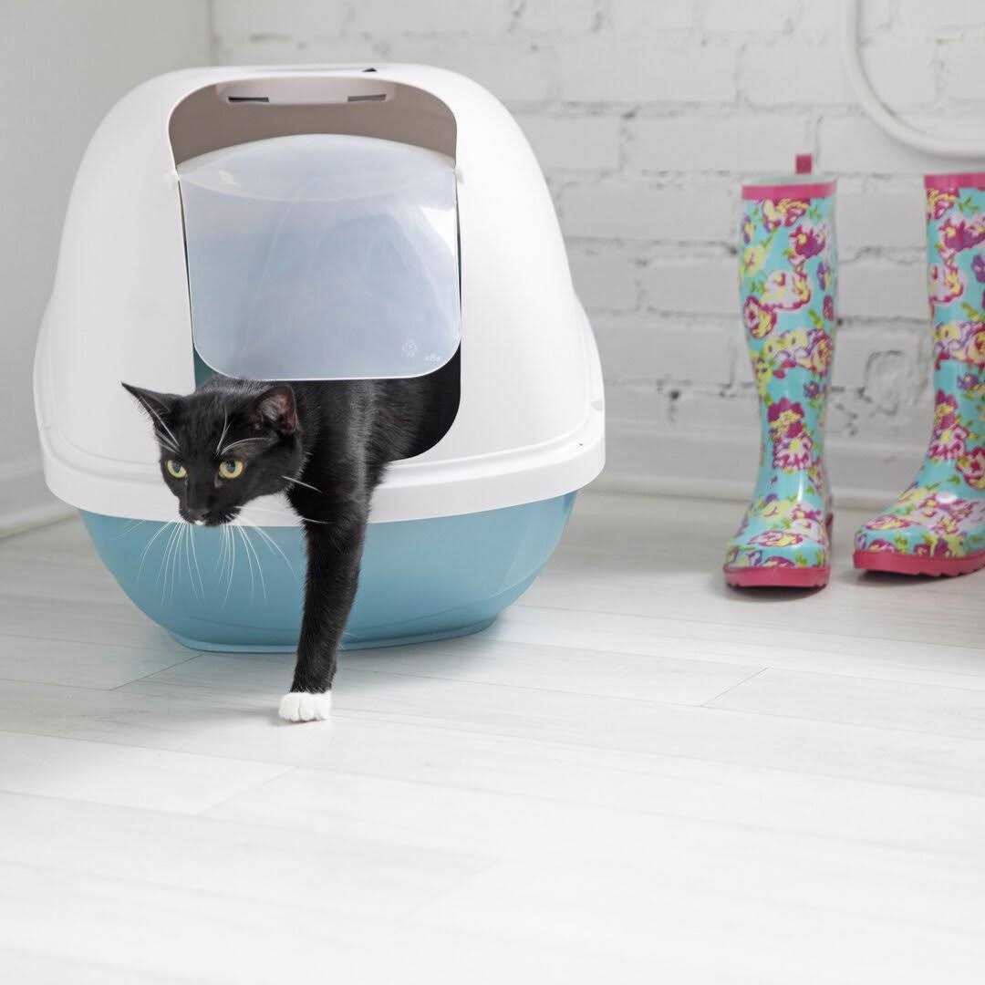 Hooded Litter Pan L43146