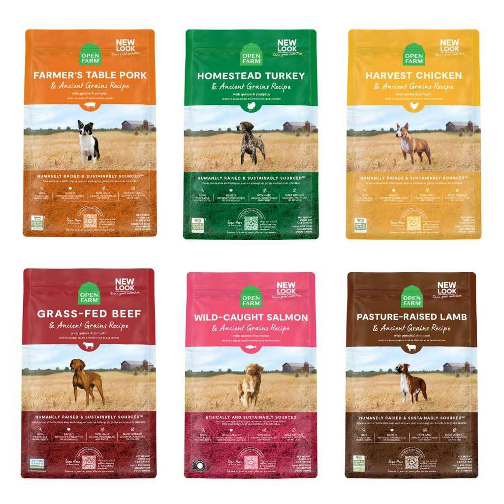 Pasture Raised Lamb Ancient Grains Dry Dog Food W9657
