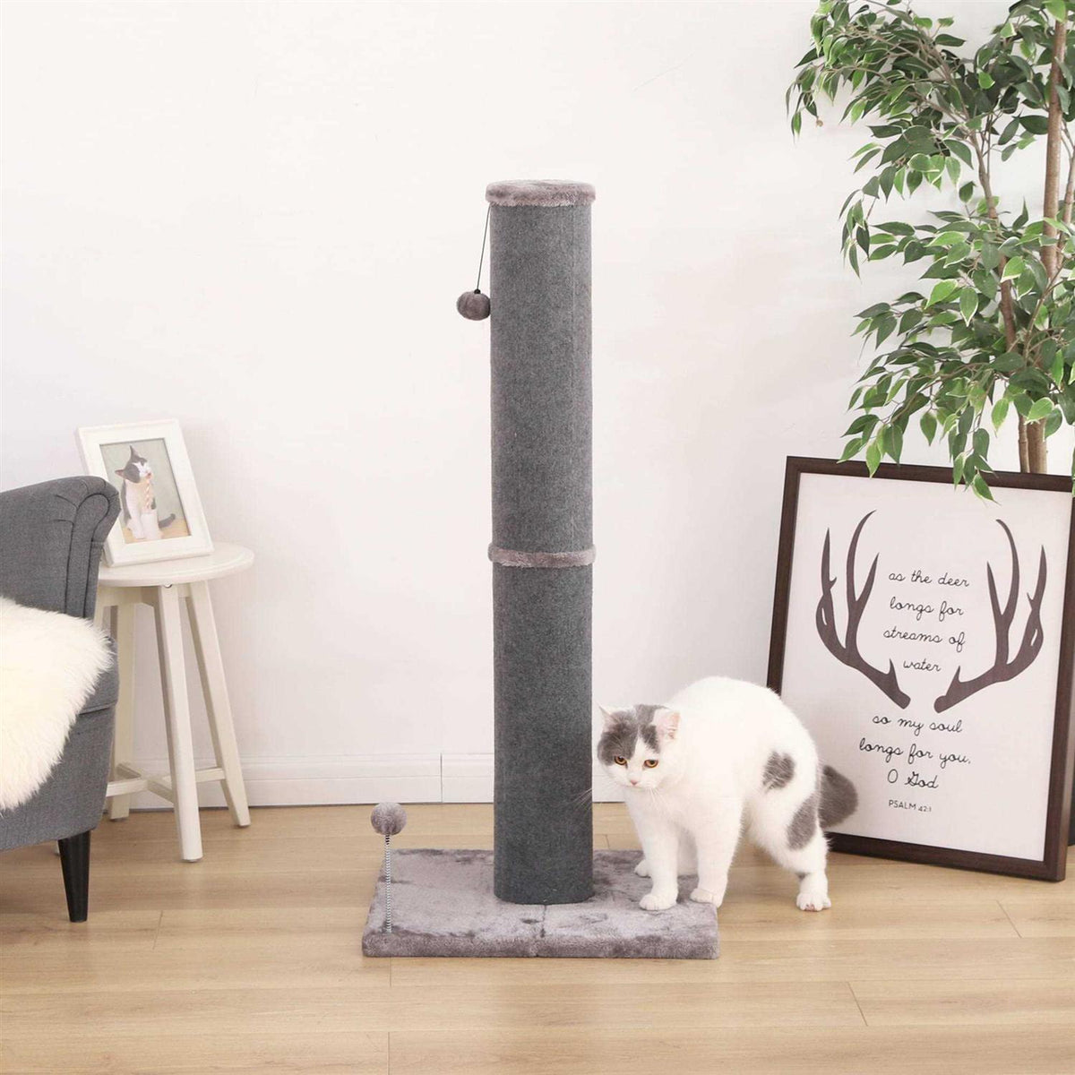 Cat Scratcher F465