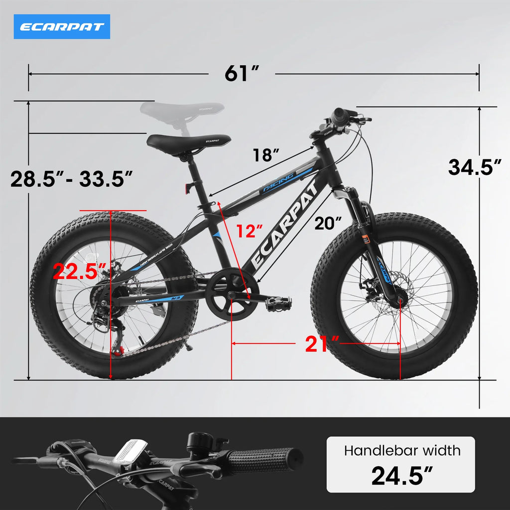 20 inch Black Fat Tire Bike with Disc Brakes 7 Speed L96229