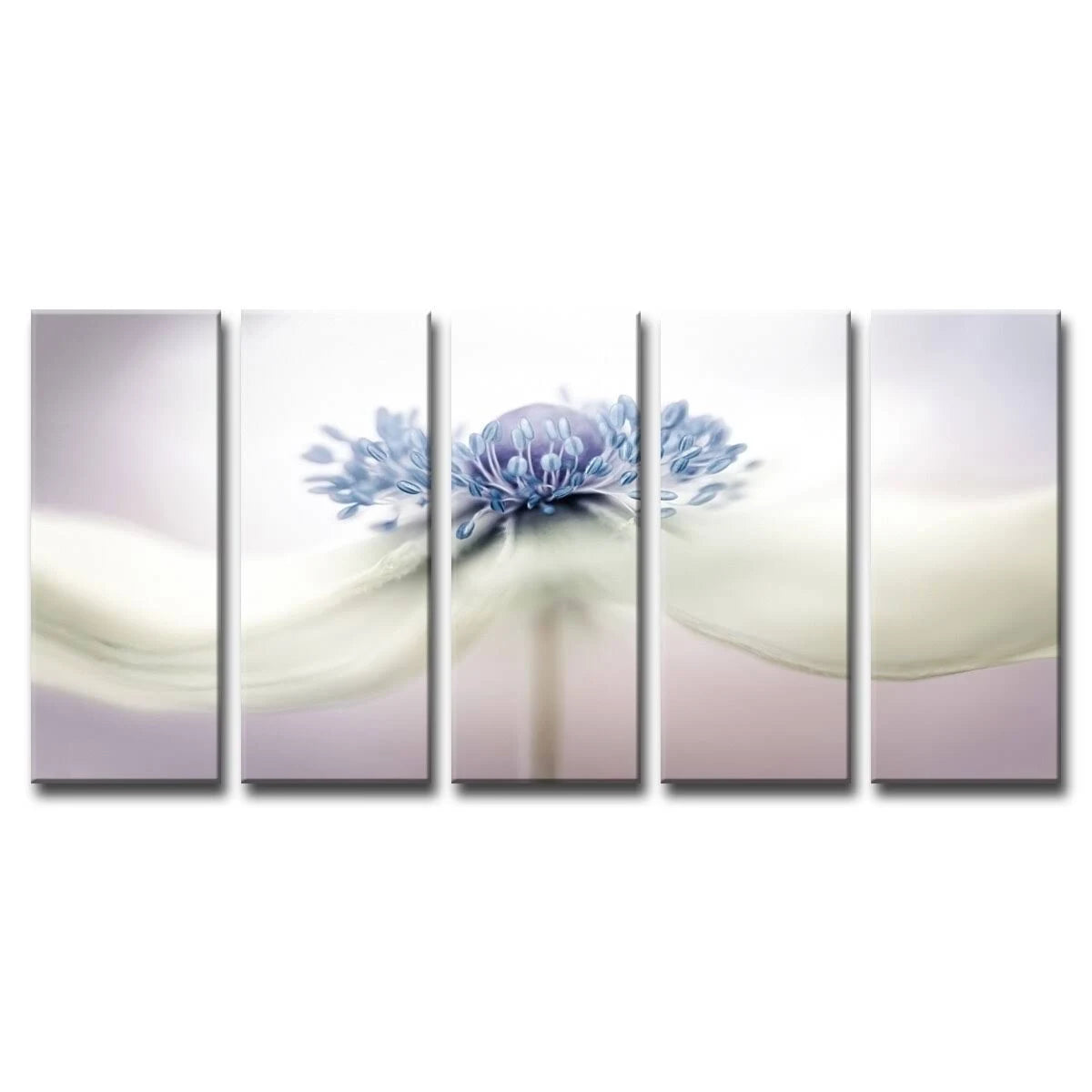 5-Pc Canvas Wall Décor Set G314720