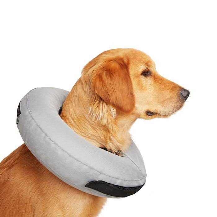 Inflatable Dog Collar V557