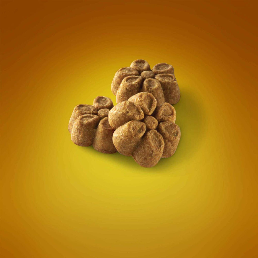 Pumpkin Dog Treats K3107