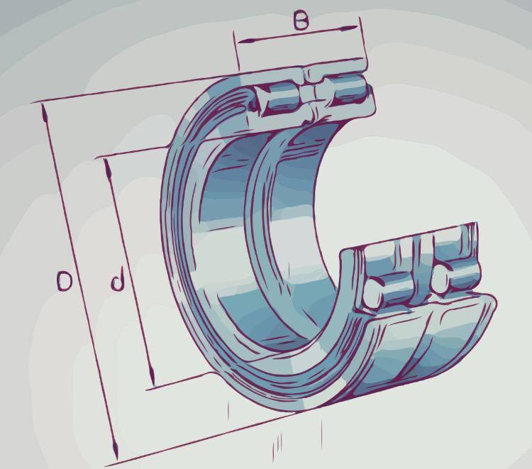 Cylindrical Roller Bearing M774447
